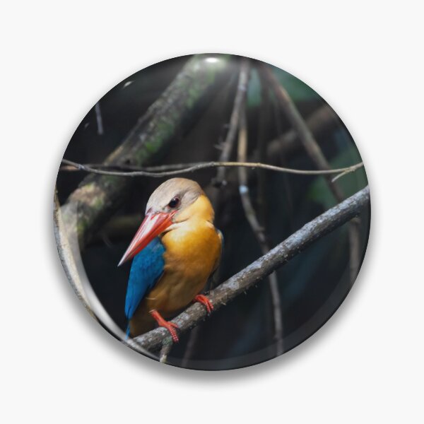 Item preview, Stork billed kingfisher, Pelargopsis capensis designed and sold by Zosimus.