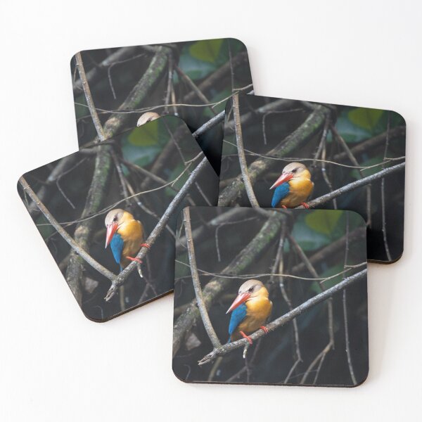 Item preview, Stork billed kingfisher, Pelargopsis capensis designed and sold by Zosimus.