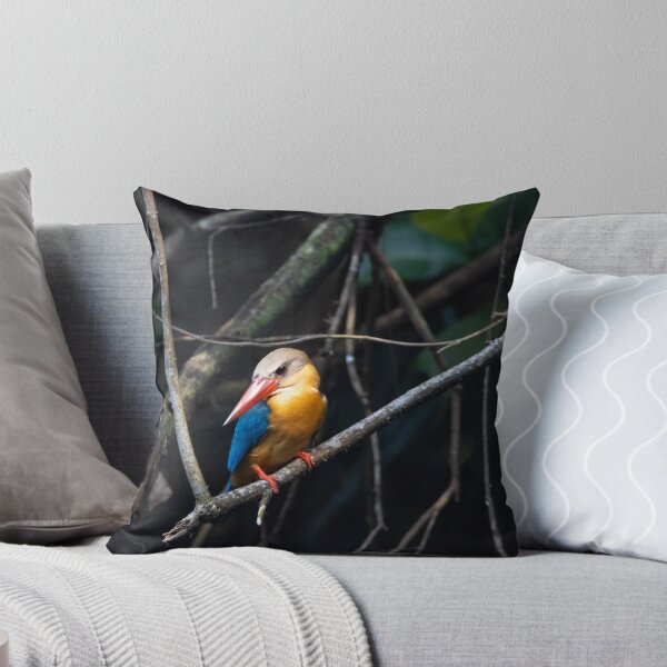 Item preview, Stork billed kingfisher, Pelargopsis capensis designed and sold by Zosimus.