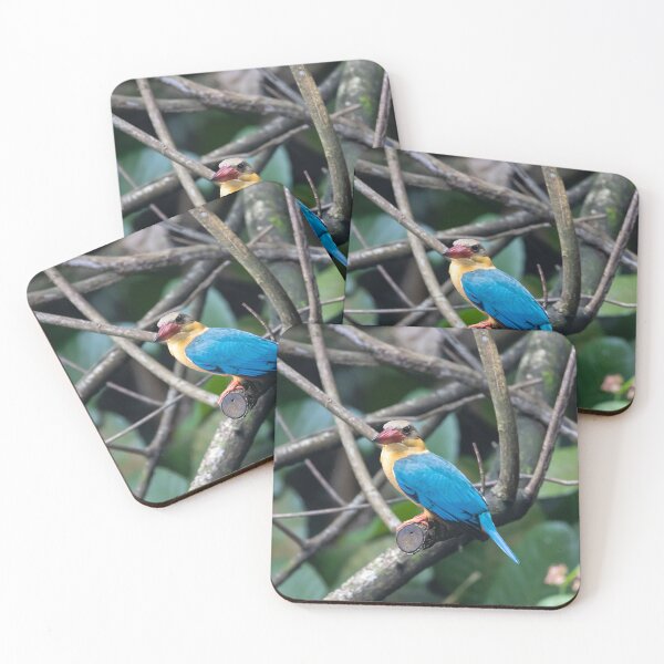 Item preview, A stork billed kingfisher, Pelargopsis capensis, on a branch. designed and sold by Zosimus.