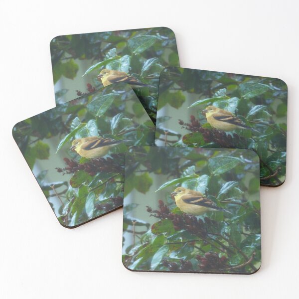 Item preview, Young American Goldfinch designed and sold by GardenOfPeace.