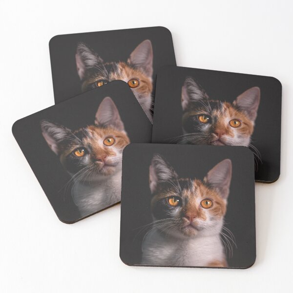 Item preview, Cat with black background designed and sold by Stefans-Bilder.