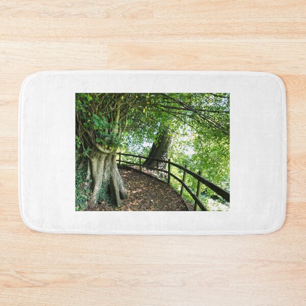 Item preview, Newark Park house a hidden walk designed and sold by Martin Fenton.