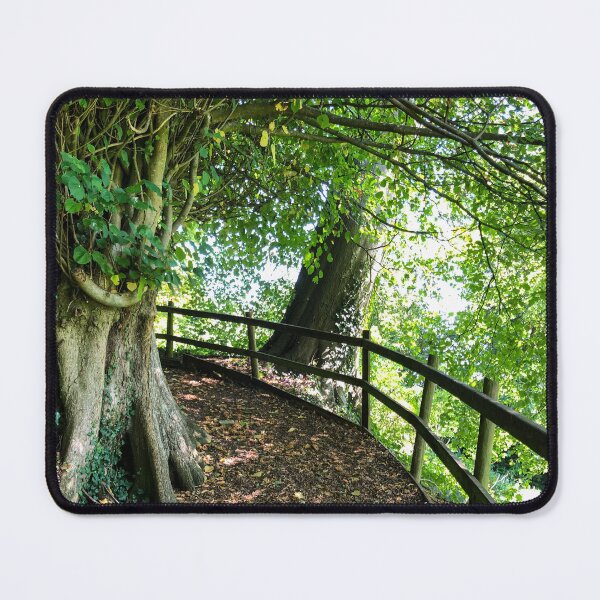 Item preview, Newark Park house a hidden walk designed and sold by Martin Fenton.