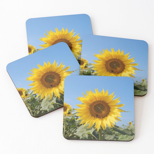 Item preview, Sunflower designed and sold by heidipics.