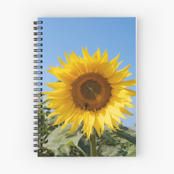 Item preview, Sunflower designed and sold by heidipics.