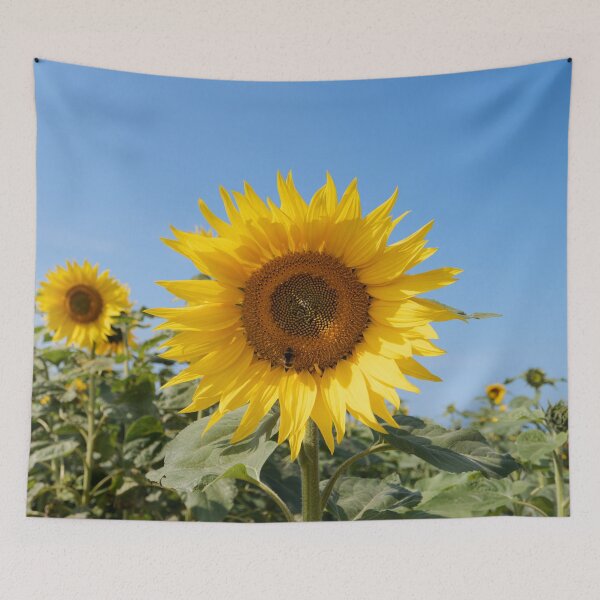 Item preview, Sunflower designed and sold by heidipics.
