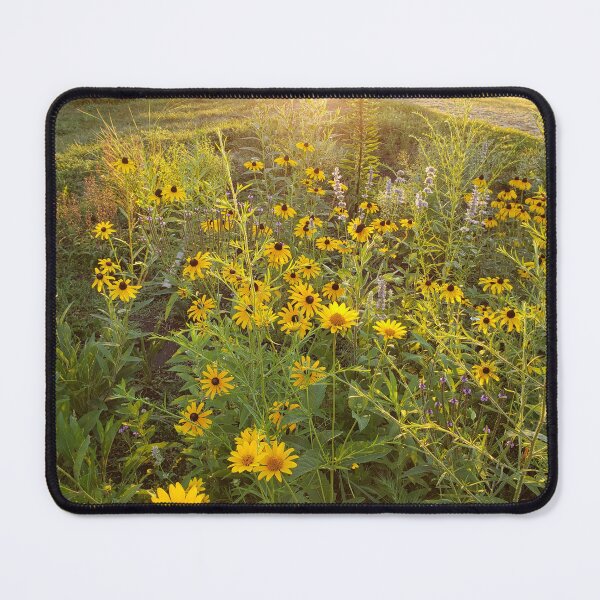 Item preview, Late season mini prairie  designed and sold by GardenOfPeace.