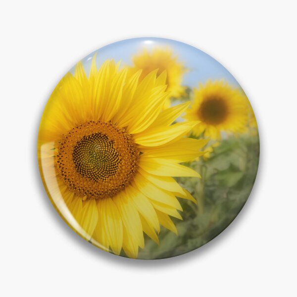 Item preview, Sunflowers designed and sold by heidipics.