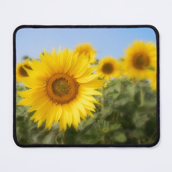 Item preview, Sunflowers designed and sold by heidipics.
