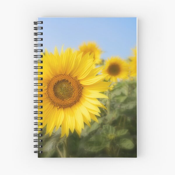 Item preview, Sunflowers designed and sold by heidipics.