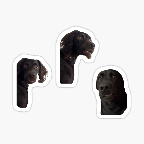 Item preview, Concerned Dogs designed and sold by BooksWizard.