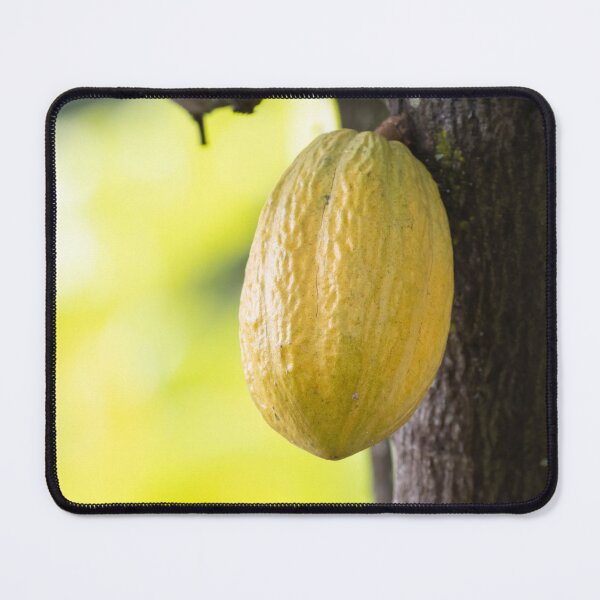 Item preview, Cacao bean on the tree, Theobroma cacao designed and sold by Zosimus.