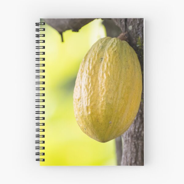 Item preview, Cacao bean on the tree, Theobroma cacao designed and sold by Zosimus.