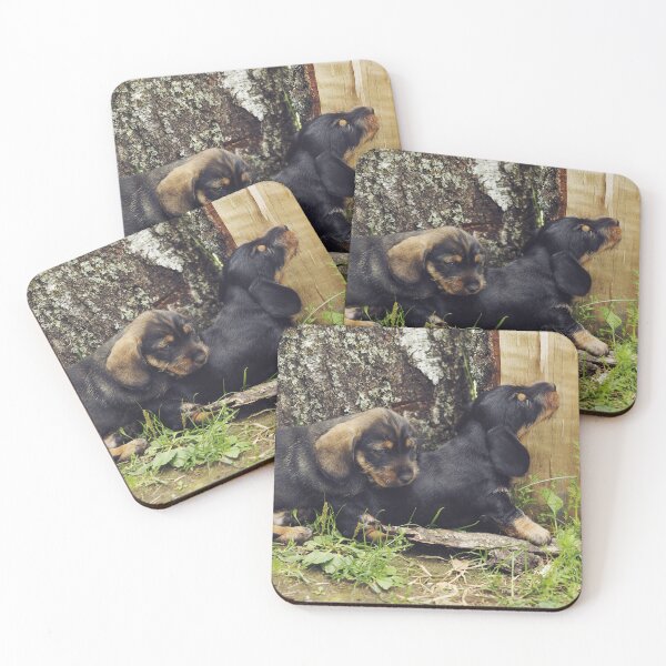 Item preview, Dachshund brothers scheming new adventures designed and sold by riku05830.