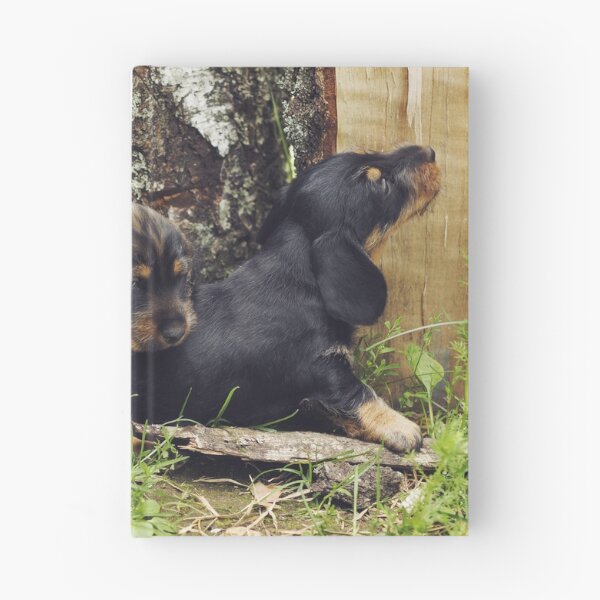 Item preview, Dachshund brothers scheming new adventures designed and sold by riku05830.