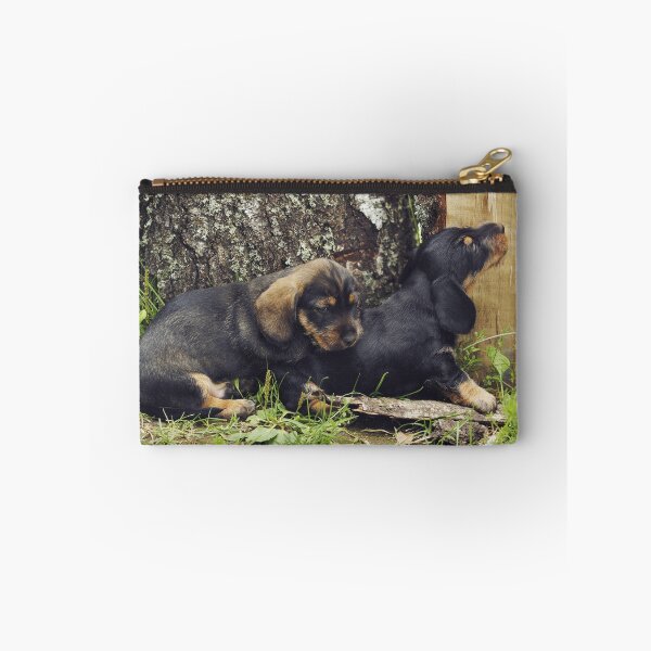 Item preview, Dachshund brothers scheming new adventures designed and sold by riku05830.