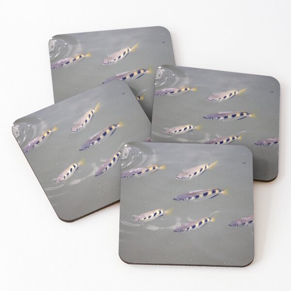 Item preview, A group of Banded Archerfishes, Toxotes jaculatrix, in muddy water designed and sold by Zosimus.