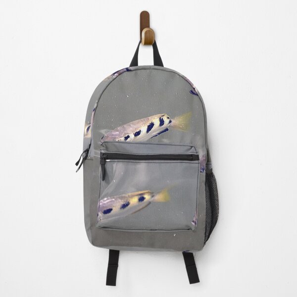 Item preview, A group of Banded Archerfishes, Toxotes jaculatrix, in muddy water designed and sold by Zosimus.