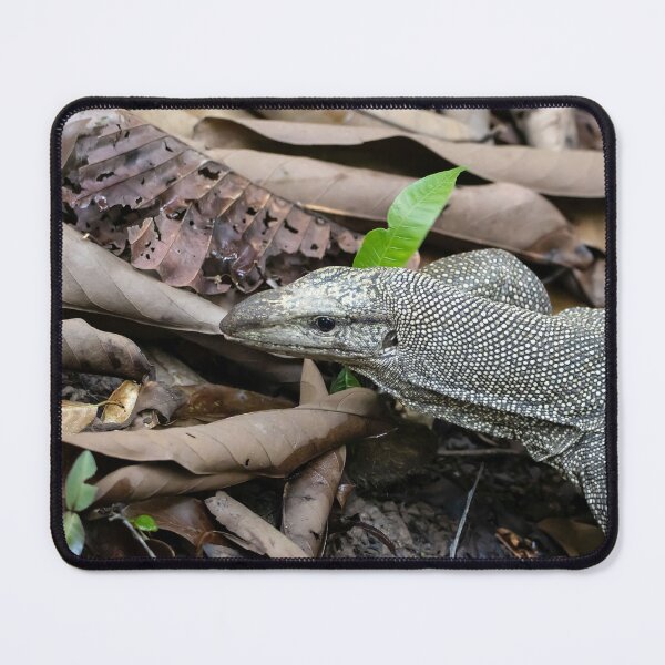 Item preview, Clouded monitor, Varanus nebulosus, on a rain forest floor. designed and sold by Zosimus.