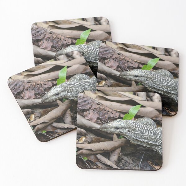 Item preview, Clouded monitor, Varanus nebulosus, on a rain forest floor. designed and sold by Zosimus.