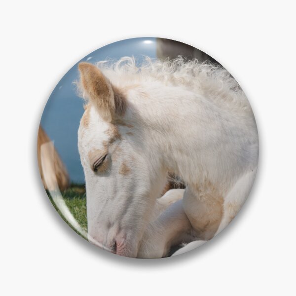 Item preview, White Foal designed and sold by heidipics.
