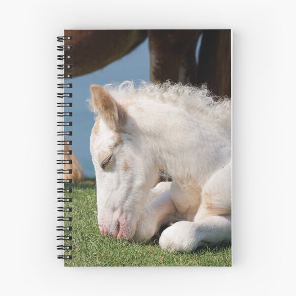 Item preview, White Foal designed and sold by heidipics.