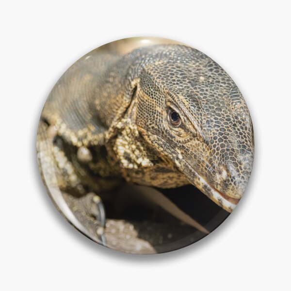 Item preview, Portrait of an Asian water monitor, Varanus salvator designed and sold by Zosimus.
