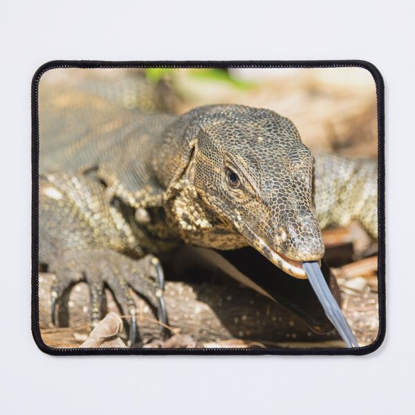 Item preview, Portrait of an Asian water monitor, Varanus salvator designed and sold by Zosimus.