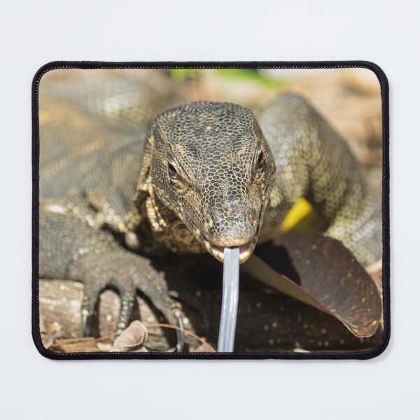 Item preview, Portrait of an Asian water monitor, Varanus salvator designed and sold by Zosimus.