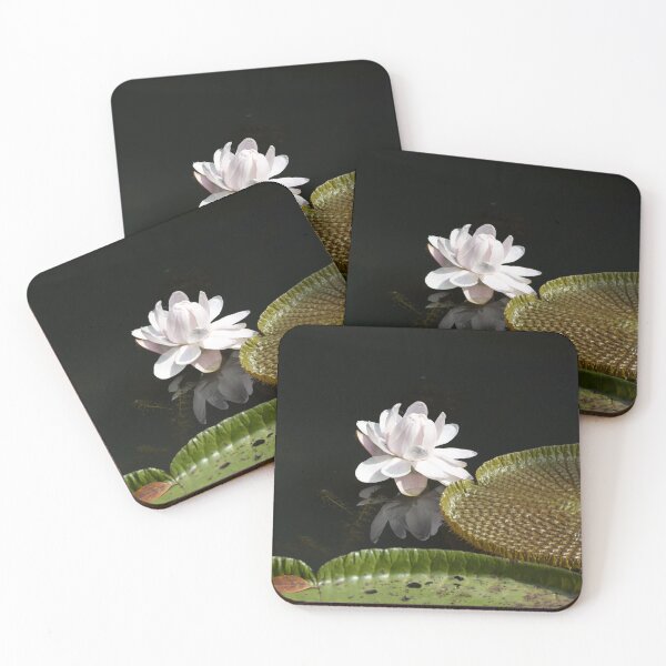 Item preview, Flower of a Victoria Regia, Victoria amazonica designed and sold by Zosimus.
