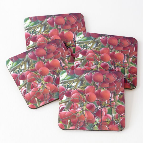 Item preview, Foxtail palm fruits, Wodyetia bifurcata designed and sold by Zosimus.