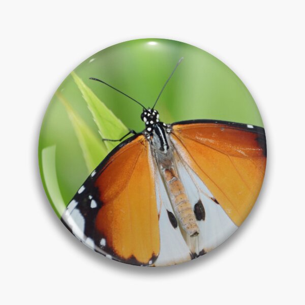 Item preview, Plain tiger butterfly, Danaus chrysippus chrysippus designed and sold by Zosimus.