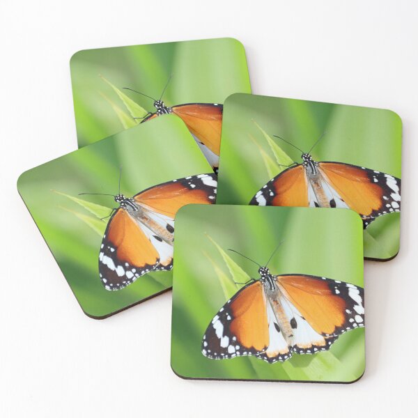 Item preview, Plain tiger butterfly, Danaus chrysippus chrysippus designed and sold by Zosimus.