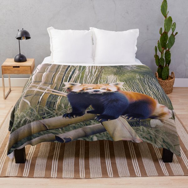 Item preview, Red panda designed and sold by RockyRambobo.