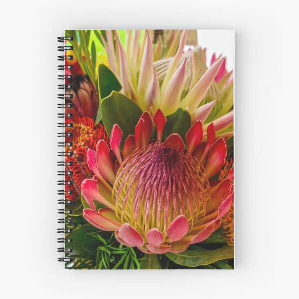 Item preview, Assorted Proteas designed and sold by marcthatspot.