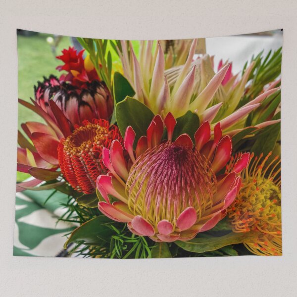 Item preview, Assorted Proteas designed and sold by marcthatspot.