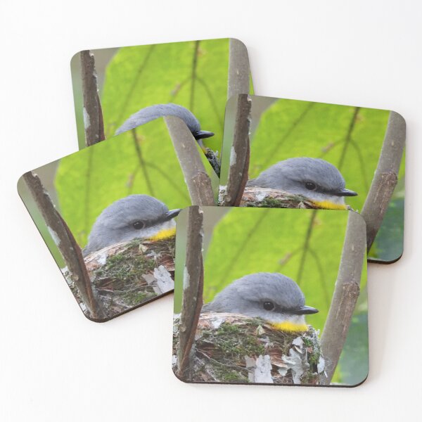 Item preview, Eastern Yellow robin nest  designed and sold by Mark Grimsley.