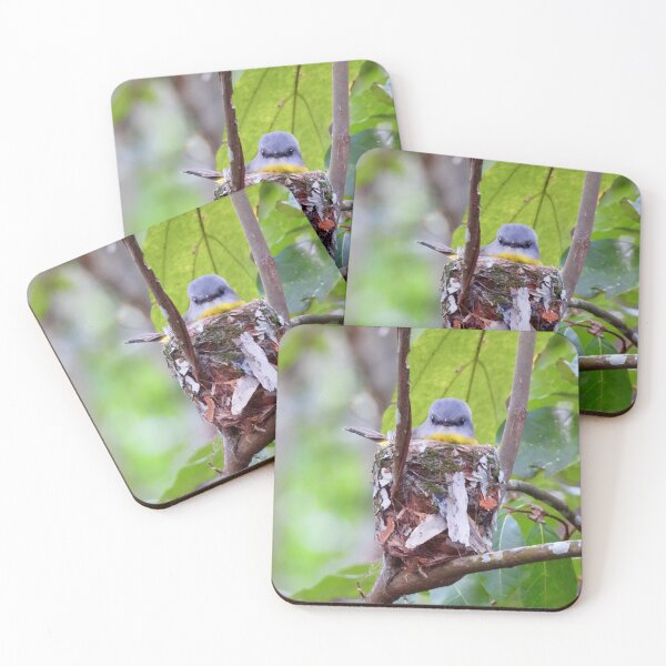 Item preview,  Eastern Yellow robin nesting time designed and sold by Mark Grimsley.