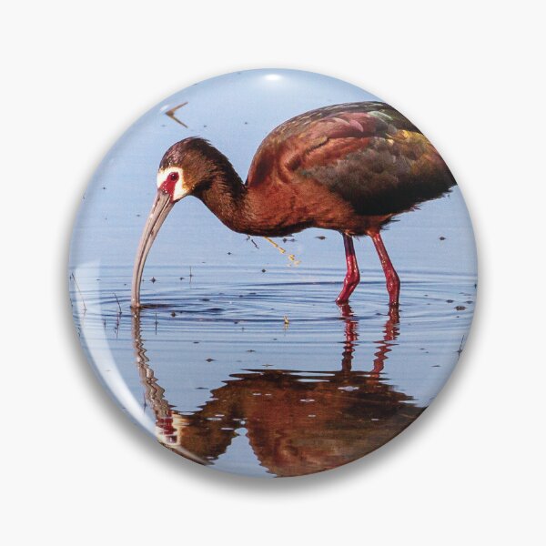 Item preview, White-faced Ibis, Malheur National Wildlife Refuge designed and sold by AvocaSpring.