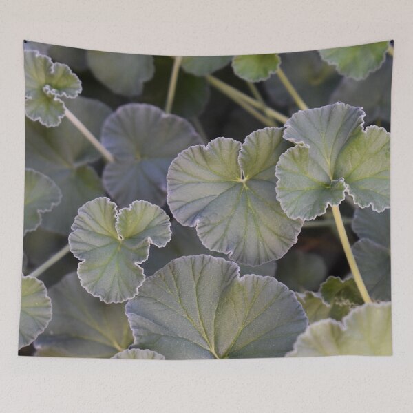 Item preview, Geraniums designed and sold by okomedesign.
