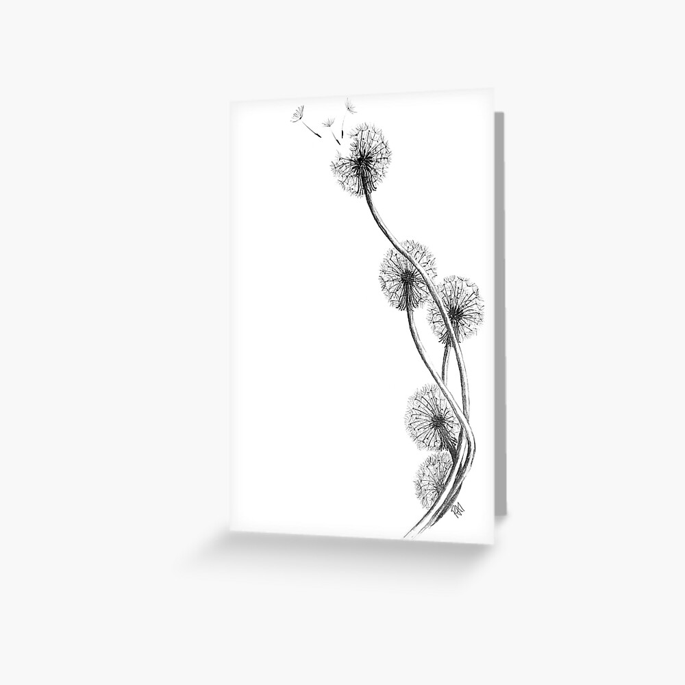 Hand drawn dandelion floral greeting card background. 2948676