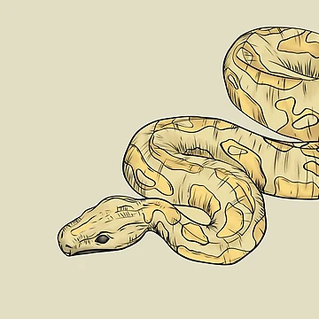 Artwork thumbnail, Python by ErinGarzaprints