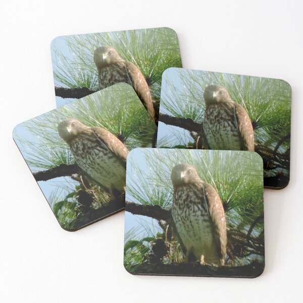 Item preview, The hawk designed and sold by Jmb67.