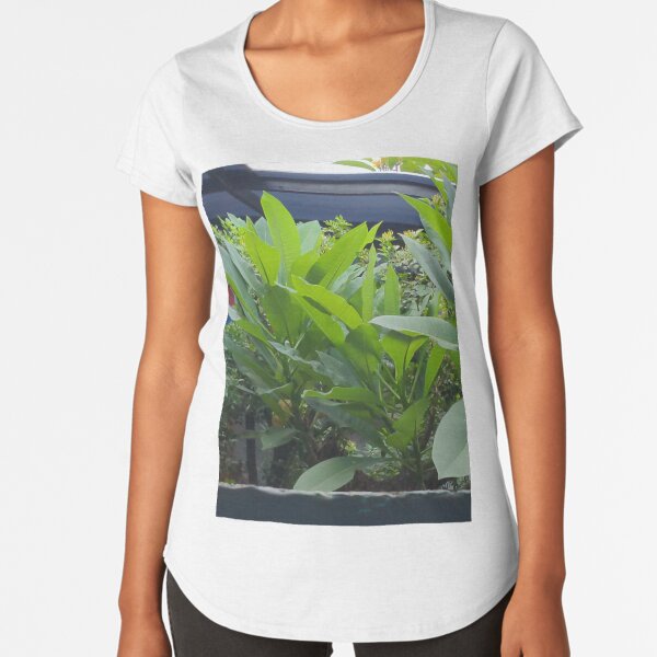 Ijo vetement en ligne on sale