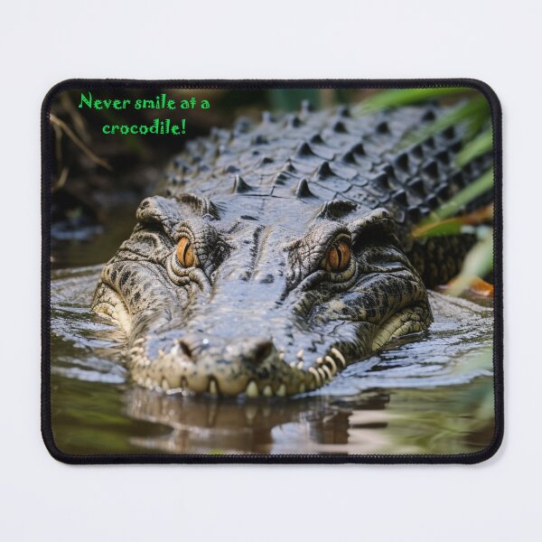 Item preview, Never smile at a crocodile designed and sold by mshepdog.