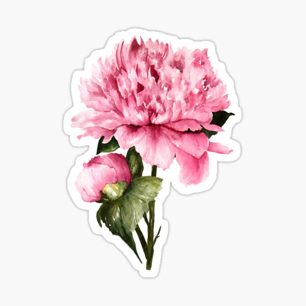 Peony 3 Sticker