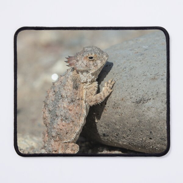 Item preview, Pushing the Boulder designed and sold by Tom Talbott.