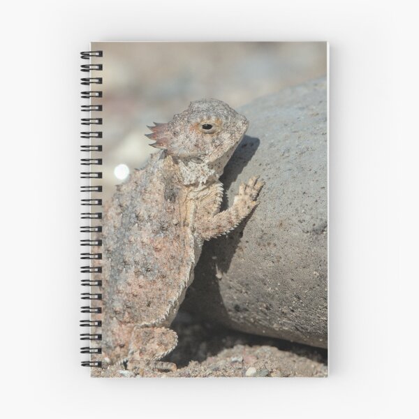 Item preview, Pushing the Boulder designed and sold by Tom Talbott.
