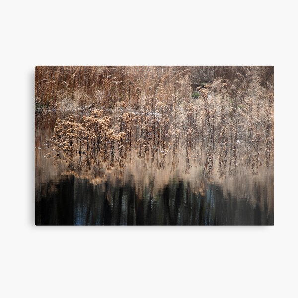 Natural Beauty Metal Print